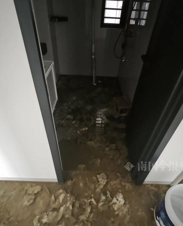 ！业主崩溃：全屋都是无法接受尊龙AG网站婚房被粪水浸泡(图7)