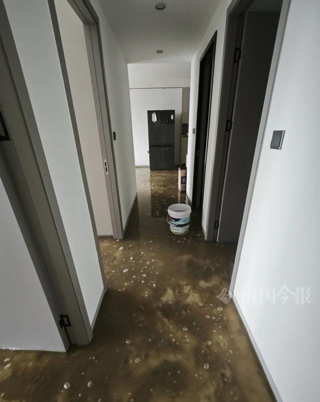 ！业主崩溃：全屋都是无法接受尊龙AG网站婚房被粪水浸泡(图1)