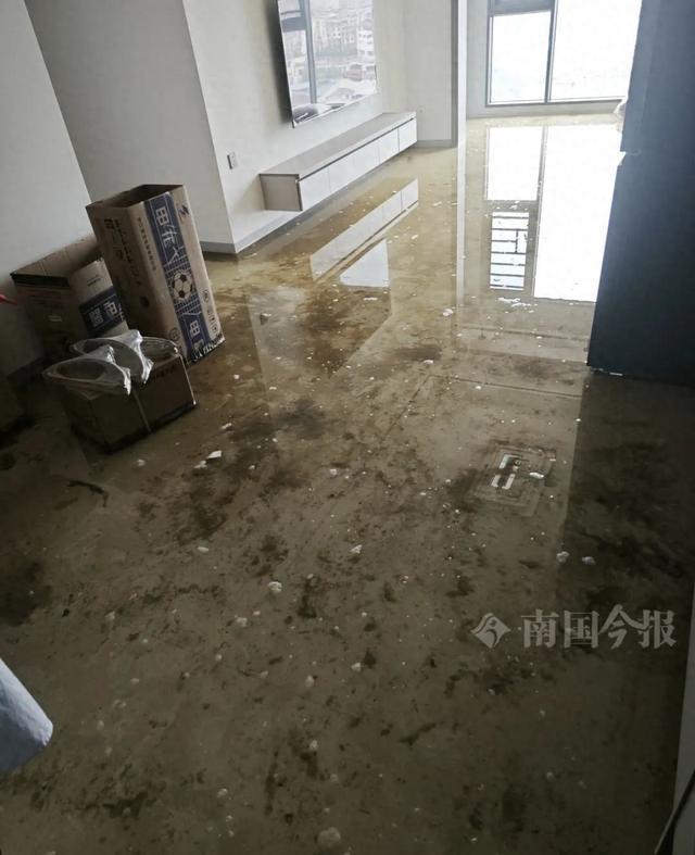！业主崩溃：全屋都是无法接受尊龙AG网站婚房被粪水浸泡(图8)
