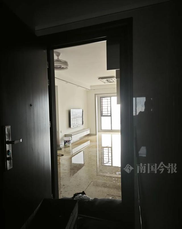！业主崩溃：全屋都是无法接受尊龙AG网站婚房被粪水浸泡(图6)