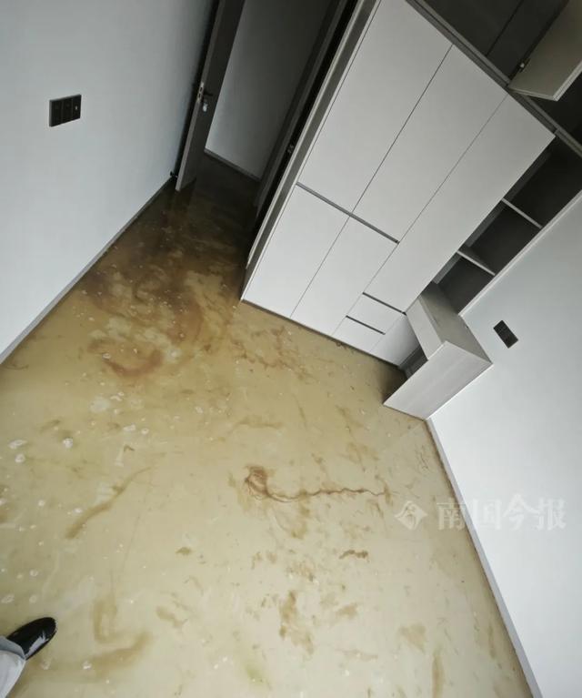 ！业主崩溃：全屋都是无法接受尊龙AG网站婚房被粪水浸泡(图3)