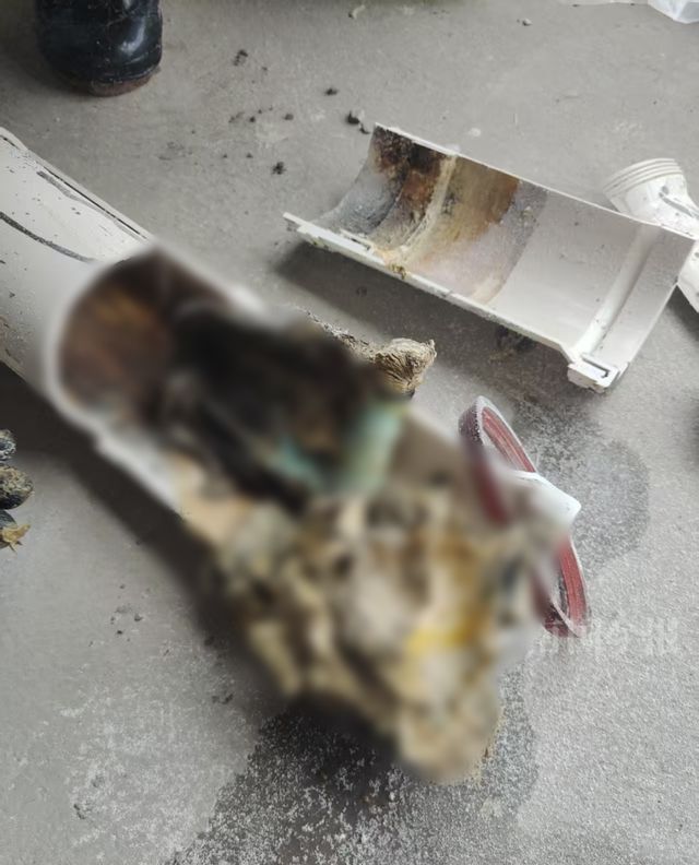 ！业主崩溃：全屋都是无法接受尊龙AG网站婚房被粪水浸泡(图9)
