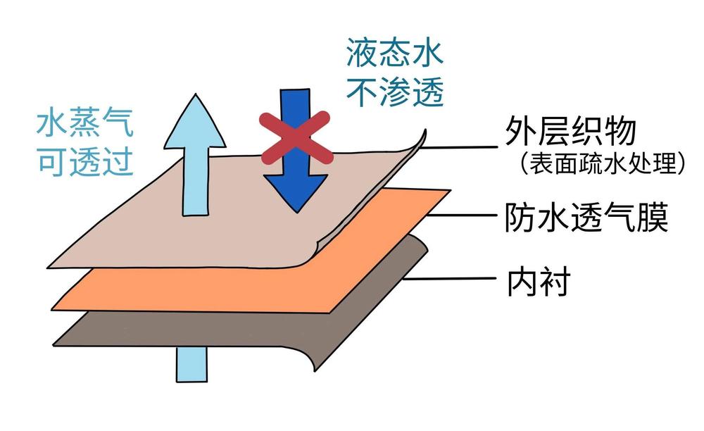 的不能机洗吗？方法不对很伤衣服尊龙凯时人生就是搏平台冲锋衣真(图4)